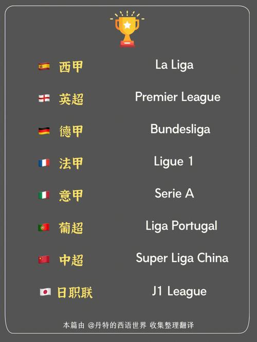 在哪里可以看足球五大联赛-(中国官方网站)(能看足球五大联赛的app)