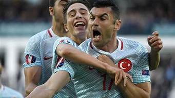 土耳其欧洲杯怎么样(土耳其欧洲杯预赛成绩)